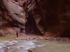 Explore the most Instagrammed hiking trails in the USA this summer Canyon Riverbed Narrow Closely Zion National Park