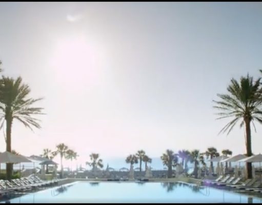 Discover Your Perfect Amelia Island Moment