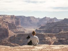 Battersea and Canine Cottages reveal six travel tips for anxious dogs Little Grand Canyon girl with dog