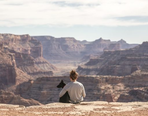 Battersea and Canine Cottages reveal six travel tips for anxious dogs Little Grand Canyon girl with dog