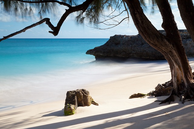 tropical sandy ocean beach