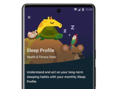 Improve your ZZZs with Fitbit Premium Sleep Profile FitBit app screen