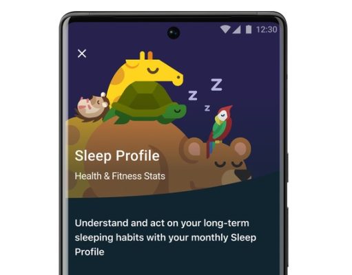 Improve your ZZZs with Fitbit Premium Sleep Profile FitBit app screen