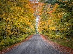 Visit the state of cheese, beer and the Green Bay The Autumn Road Traveled