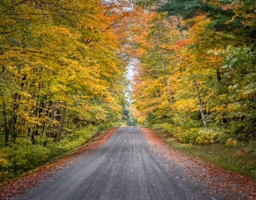 Visit the state of cheese, beer and the Green Bay The Autumn Road Traveled