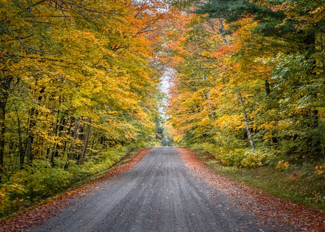 The Autumn Road Traveled