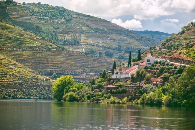 Douro Valley - Quinta de la Rosa. Pinhão, Portugal