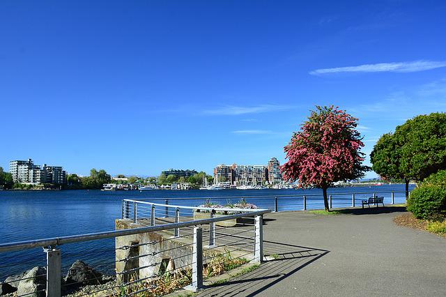 Songhees, Walkway, Victoria, Bc, Water, Canada Songhees Walkway Victoria Bc