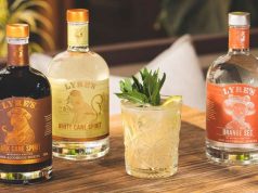 Great Summertime Cocktails using Crafted Non-alcoholic Spirits crafted non-alcoholic spirits