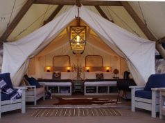 Black Tree Resort Earns Best Glamping Spot in Colorado Three Years in a Row Black Tree Resort glamping tent