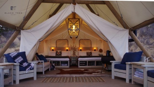Black Tree Resort glamping tent