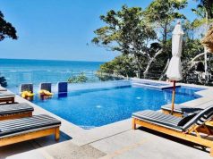 Mexican Contemporary Style Meets Jungle Chic Villa Casa Xzavian pool