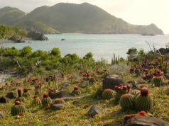 Experience the Biodiversity of St. Martin’s Nature Reserve