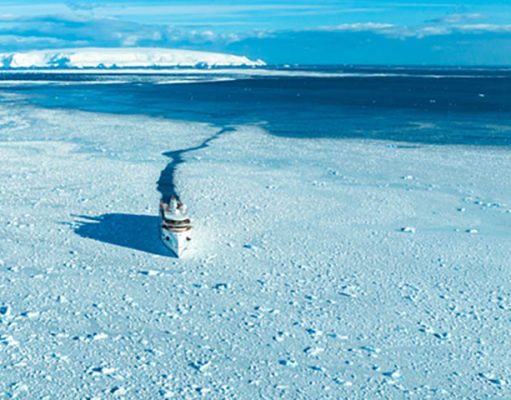 Aurora Expeditions Unveils New Sustainable Food Initiatives Greg Mortimer in Antarctica