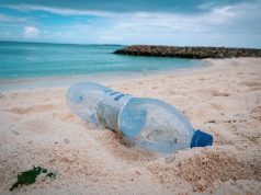 How to Recycle During Travel plastic bottle on beach