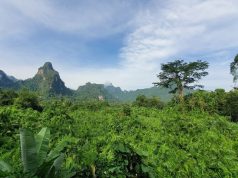 Anurak Lodge Ecotourism Experience Reopens in Southern Thailand