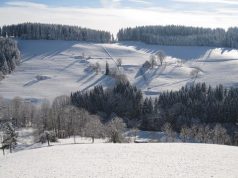 New Zealand Winter: Know How to End the Year on A Perfect Note with This Guide! snowy hillside in new zealand