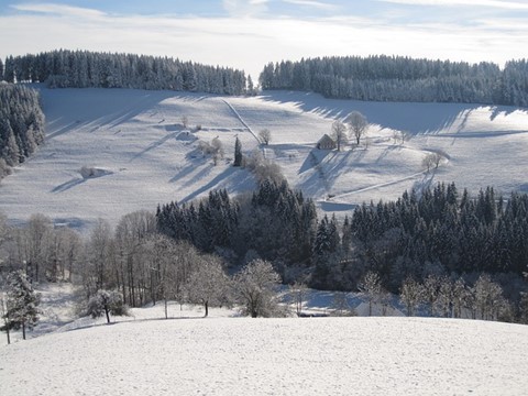 snowy hillside in new zealand