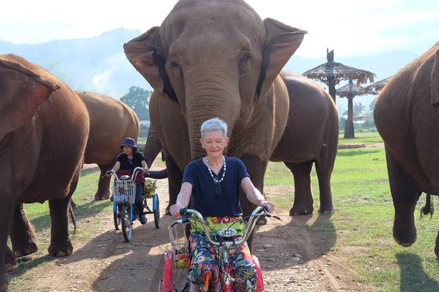 Lady in front of a elephant