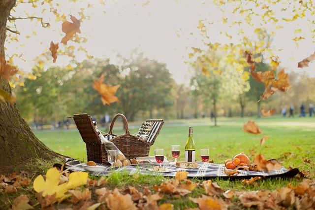 Picnic in October