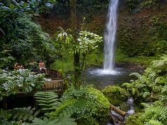 Discover Hidden Waterfalls and Trails at Dominica’s HikeFest 2026 Emerald pool with waterfall