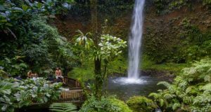 Discover Hidden Waterfalls and Trails at Dominica’s HikeFest 2026 Emerald pool with waterfall