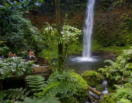 Discover Hidden Waterfalls and Trails at Dominica’s HikeFest 2026 Emerald pool with waterfall