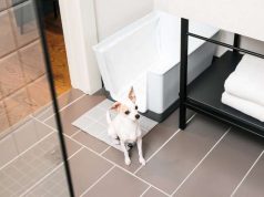 Kimpton Saint George Hotel welcomes Doggy Bathroom