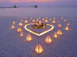 Lanterns at palm beach