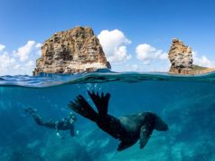 Soak up the splendour of Shoalhaven on the New South Wales South Coast