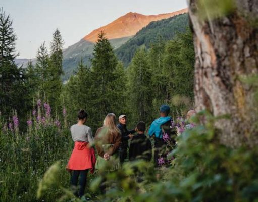 Explore the wild side of Val d’Isère and reconnect with your senses with botanical trails and discovery walks