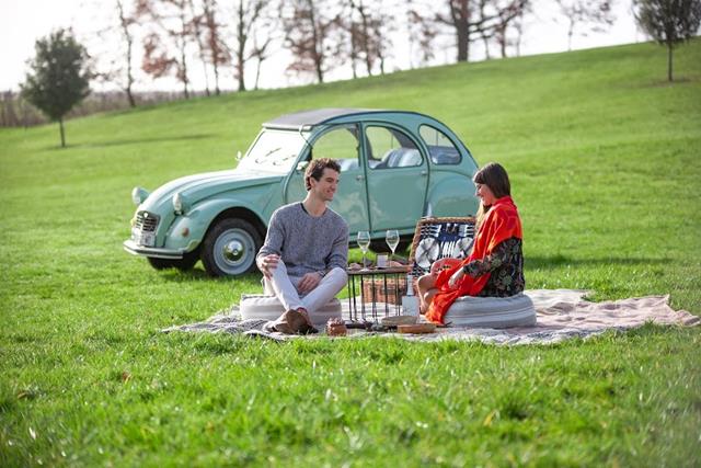 Countryside Picnic