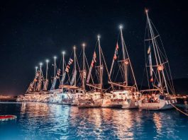 The Yacht Week