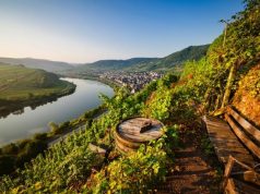 5 Stunning Wine Hikes in German Landscape photo of wine barrel