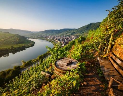 5 Stunning Wine Hikes in German Landscape photo of wine barrel