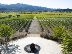 How to Make the Most of a Trip to Napa Valley nappa