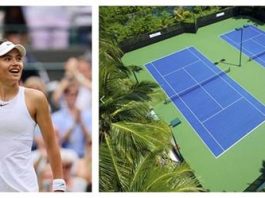 Photo of tennis court and pro player