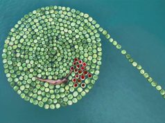 New exhibition opens at the Israel Museum in Jerusalem