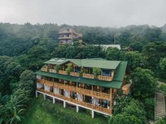 Eco-Friendly Adventures in the Cloud Forest of Costa Rica
