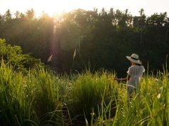 Tanah Gajah Helps Solo Travelers Seek Serenity in Bali Solo time at Tanah Gajah