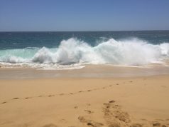 Travel Tips: Is Cabo San Lucas Worth visiting? Oh yes!