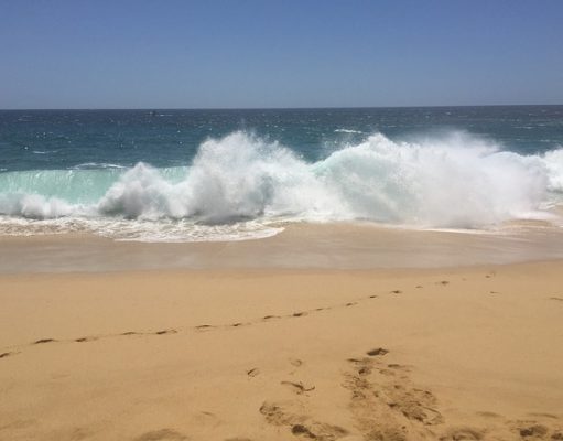 Travel Tips: Is Cabo San Lucas Worth visiting? Oh yes!