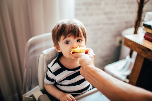 feeding child in a highchair