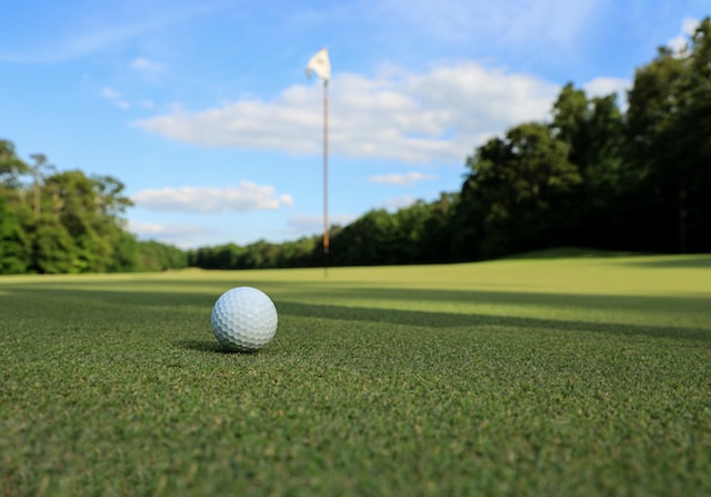 golf ball on golf green