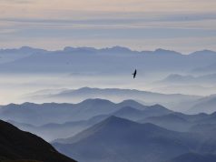 10 Expert Tips for High Altitude Hiking