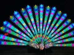 Seattle Offers a Winter Wonderland for the Holidays