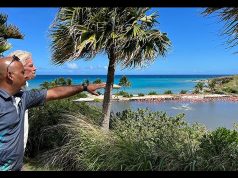 Virgin Limited Edition launches video series to give a behind the scenes look at Sir Richard Branson’s sustainable island haven, Necker Island