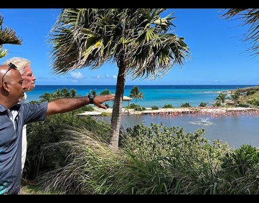 Virgin Limited Edition launches video series to give a behind the scenes look at Sir Richard Branson’s sustainable island haven, Necker Island