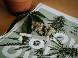 Cannabis Joint