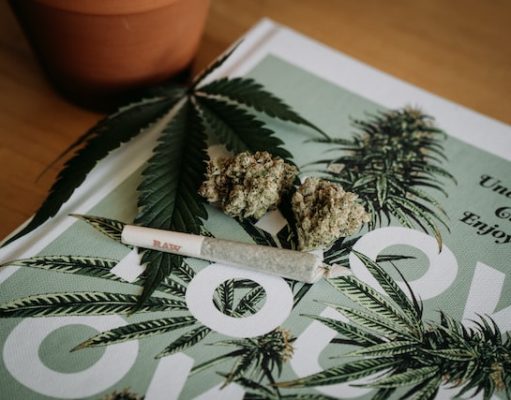 9 Trip Suggestions: Tourist Destinations Where Cannabis Is Legal Cannabis Joint